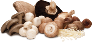 superfood mushrooms