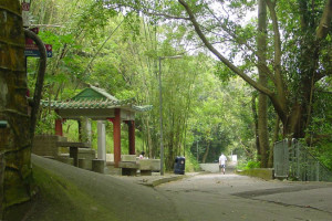 Wan Chai’s Green Trail