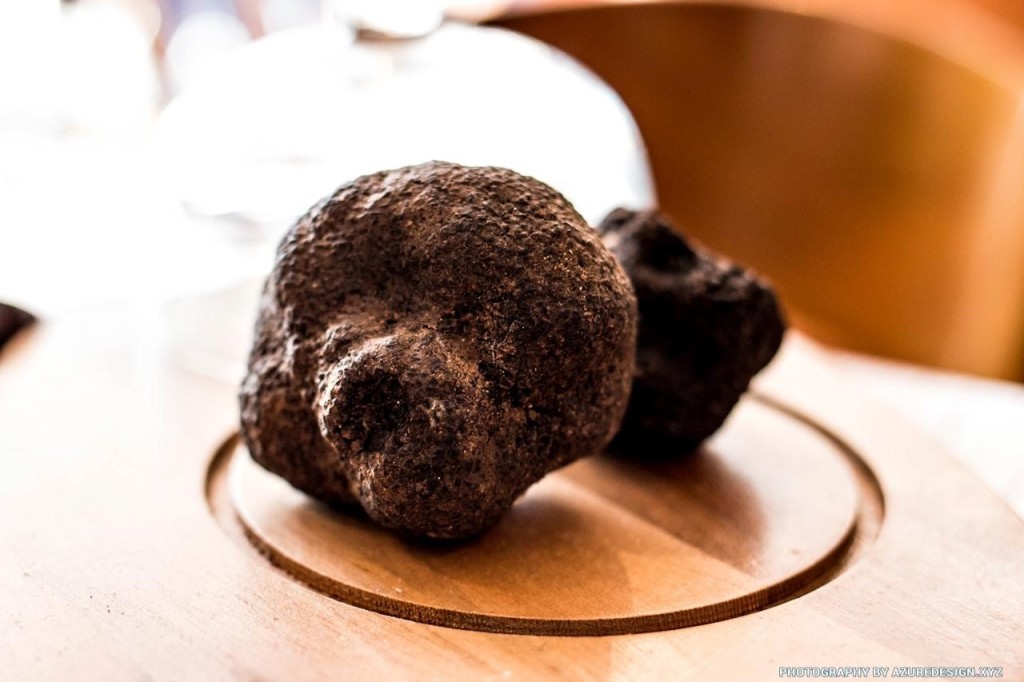 Raw black truffle